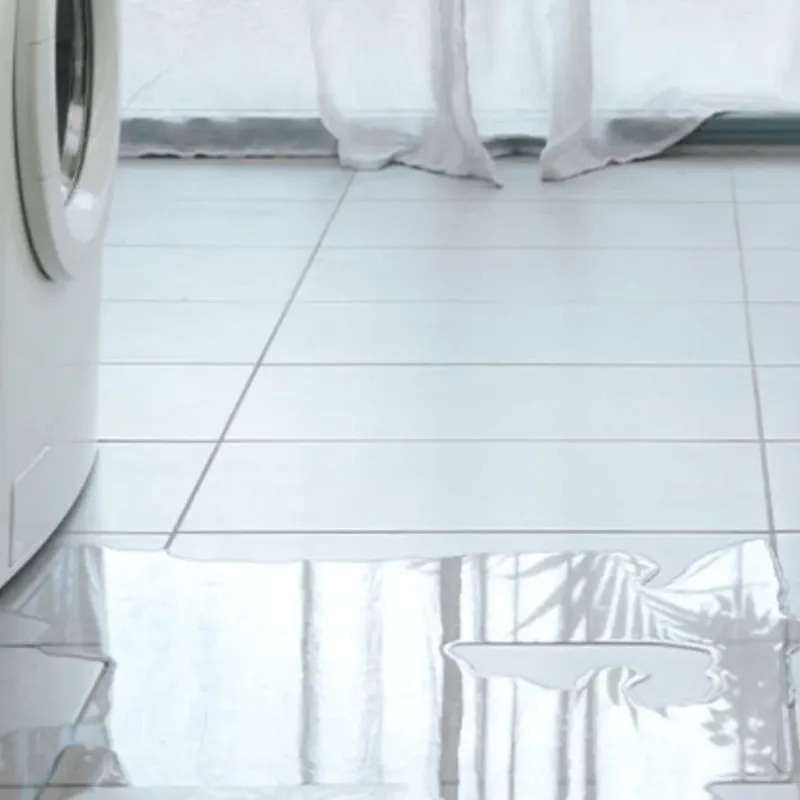 Appliance Leak Cleanup in Clayton, NY